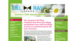 Desktop Screenshot of delraycleaners.com